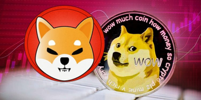 doge币视频(doge币怎么了)