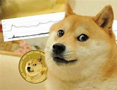 doge币数量(doge币 总量)