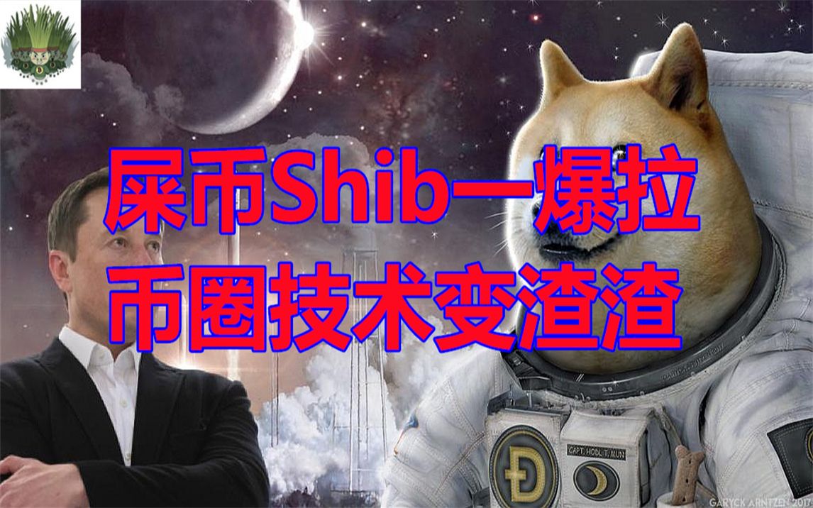 doge币取得(doge币怎么了)