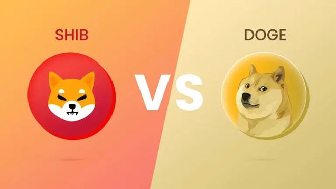 doge币市值潜力(doge币2021年能涨到多少)