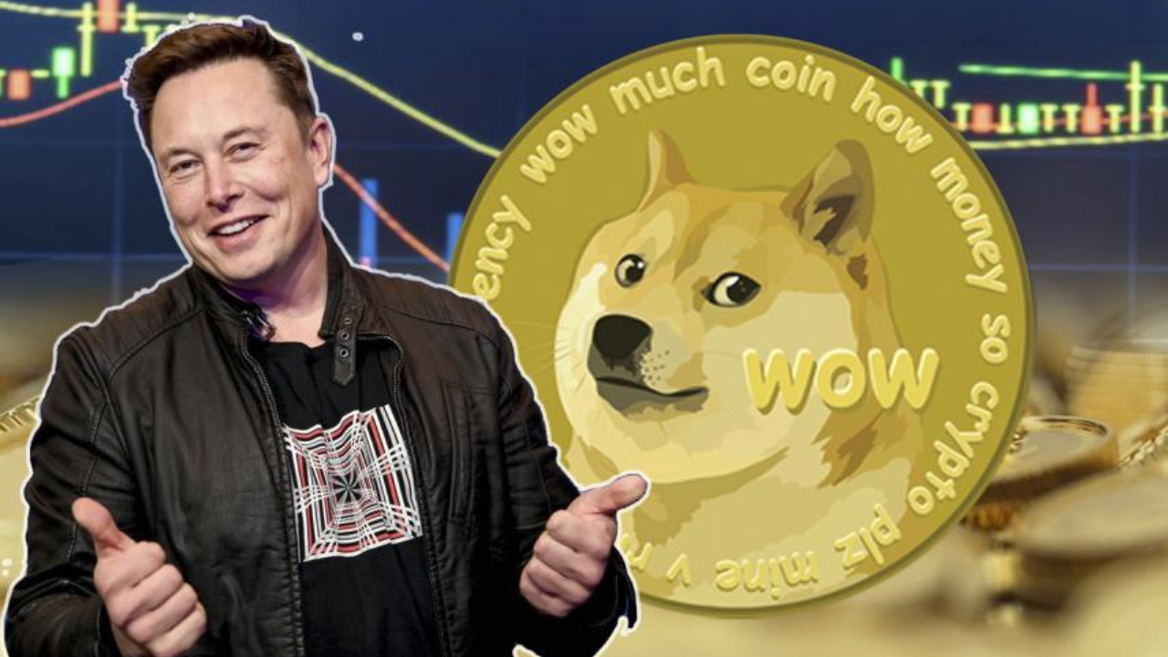 doge币涨100(DOGE币涨了多少倍)