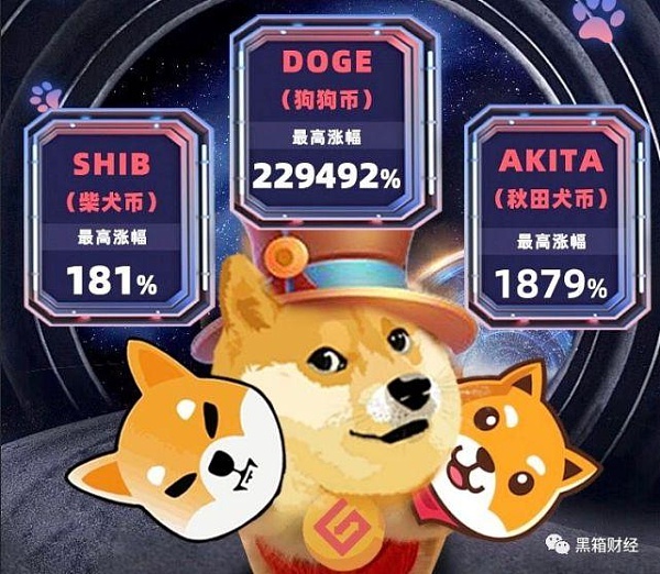 关于doge币放在哪个钱包的信息