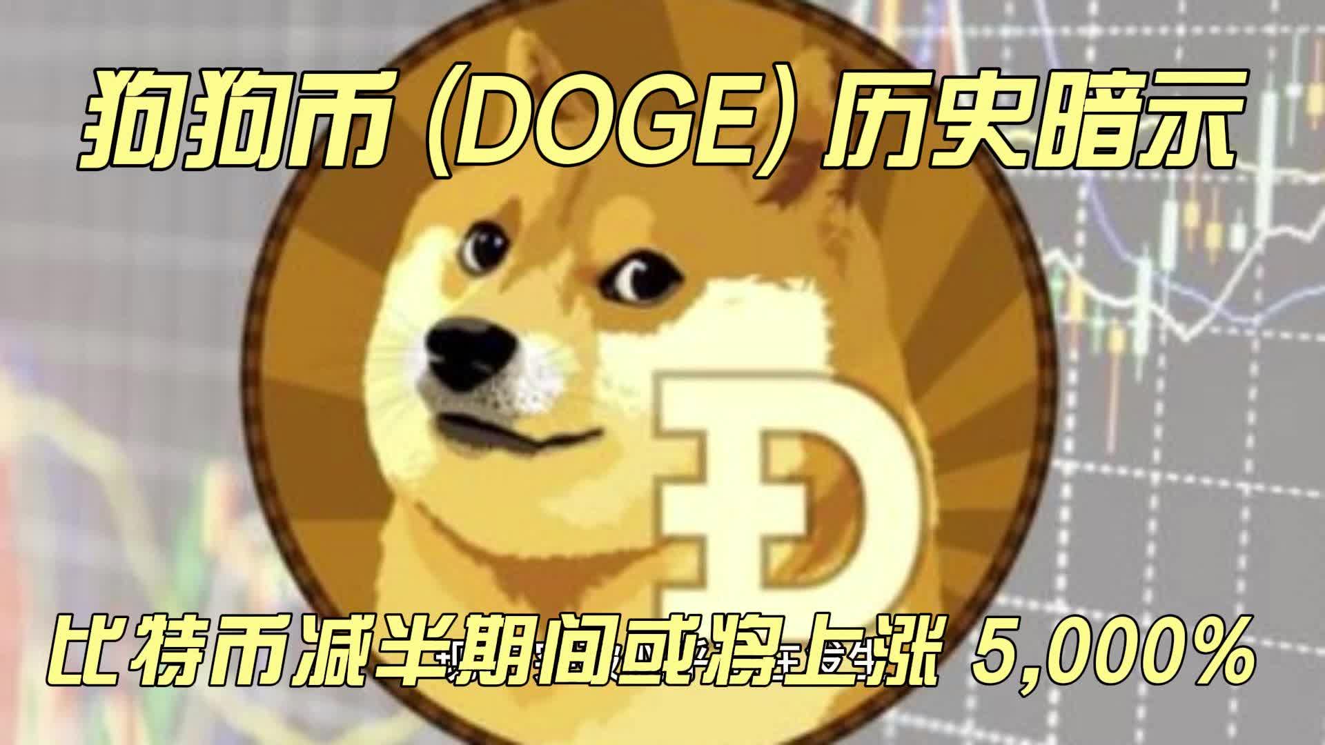 doge币有多少个(doge币一共多少个)