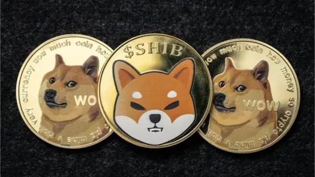 doge币公链(doge币是公链)