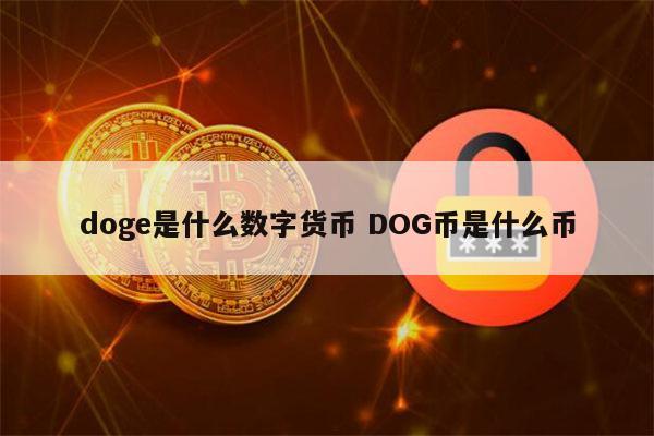 哪个软件可以买doge币(哪个软件可以下载mp3格式的音乐)