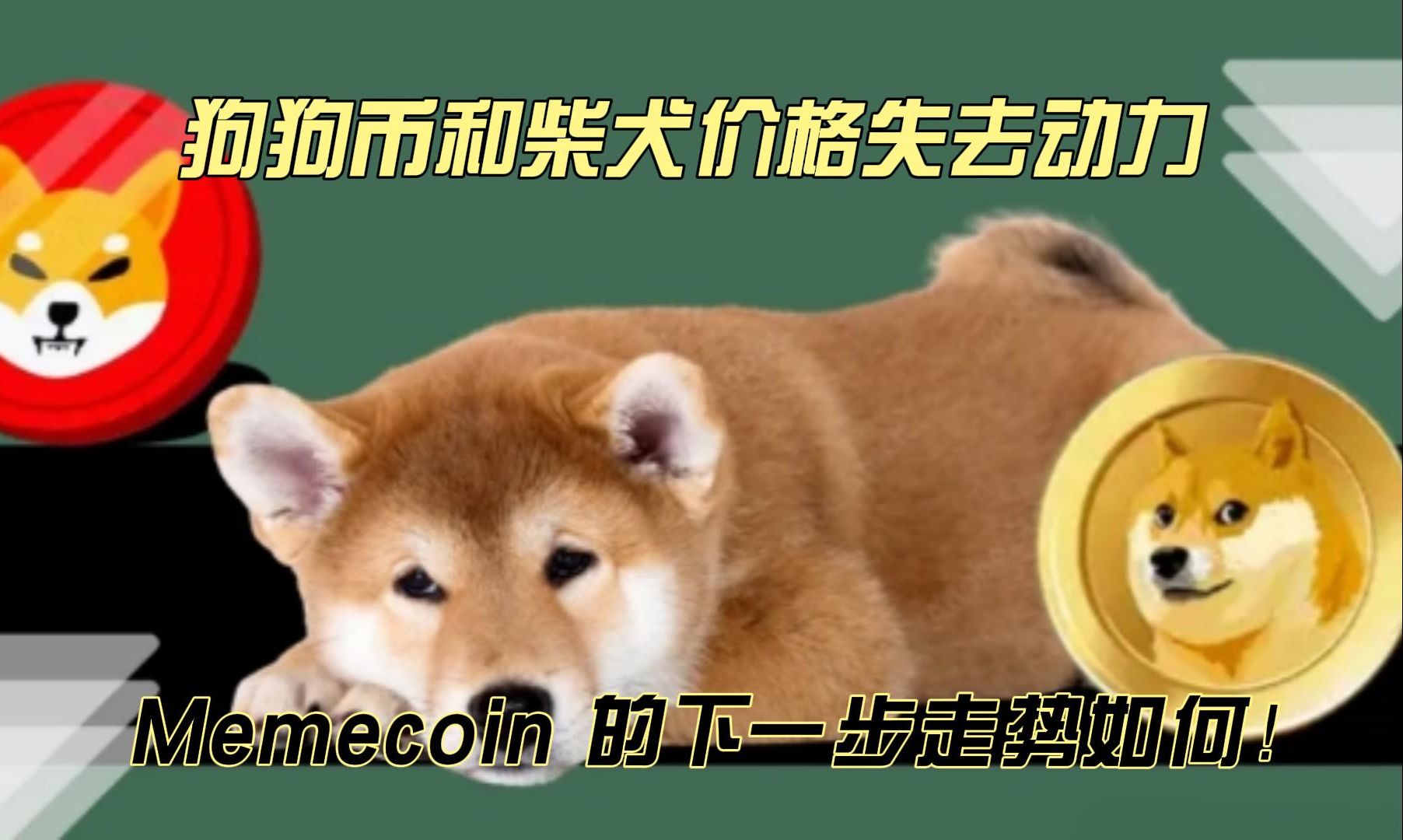 doge币怎么挖(doge币 怎么挖)
