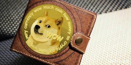 doge什么币种(doges这是什么币)