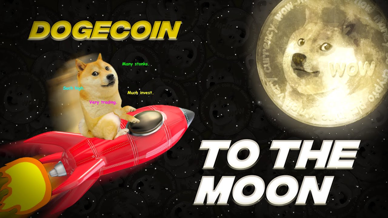 doge是主流币(doge币谁发行的)