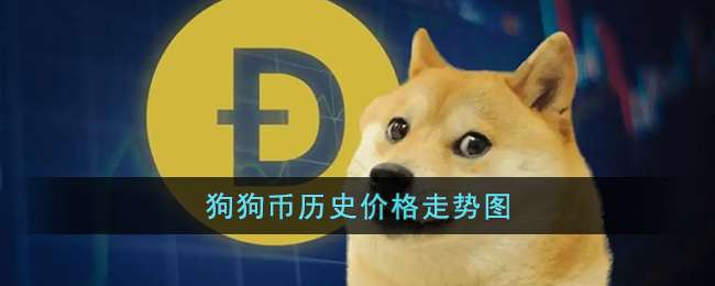 doge狗币怎么看(怎么看狗狗币买入价格)