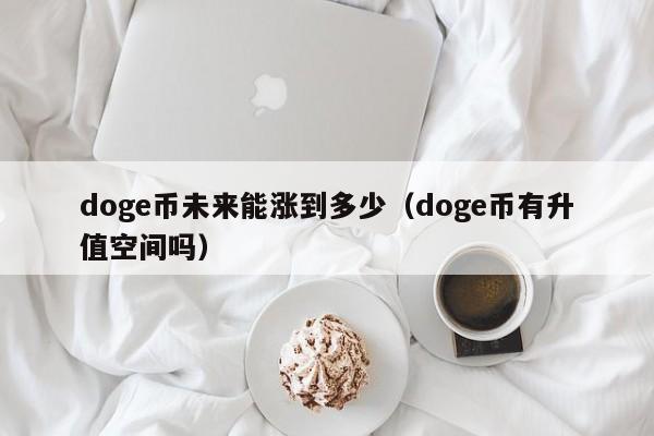 doge币未来(DOGE币未来价值)