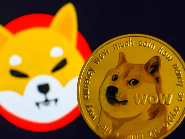 doge币未来(DOGE币未来价值)