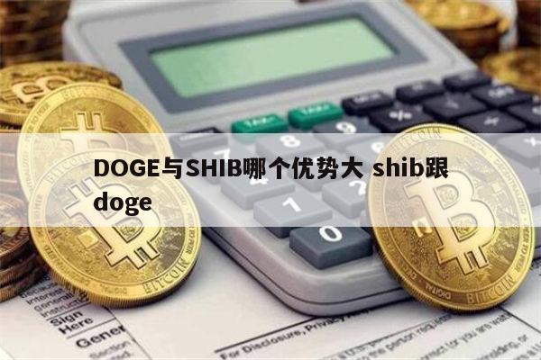 doge币名称(doge币是什么币种)