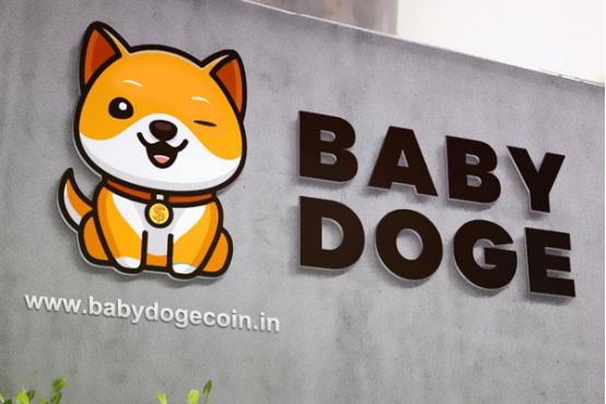 关于doge币共识机制的信息