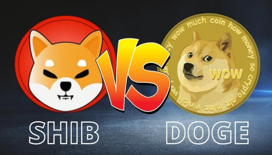 doge币为什么没有白皮书的简单介绍