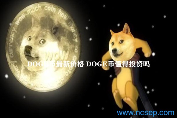 doge币疯涨(doge币会不会停止增发)
