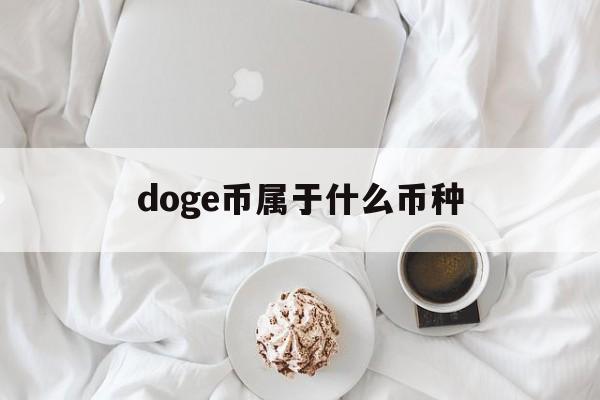 doge币属于什么币种(dogecoin是什么币种)