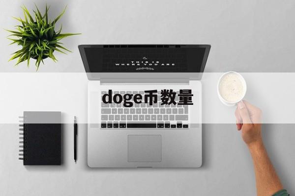 doge币数量(doge币有多少)